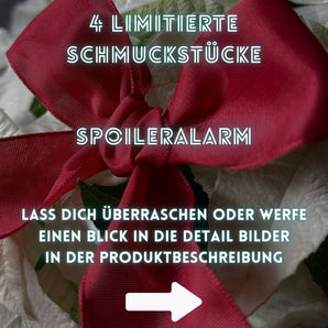 JETZT VORBESTELLEN! Limitierter ADVENTSKALENDER! Lieferung 6. November